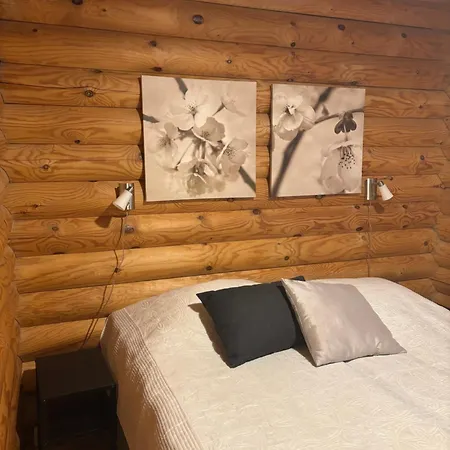 Latvahonka * Jämsä