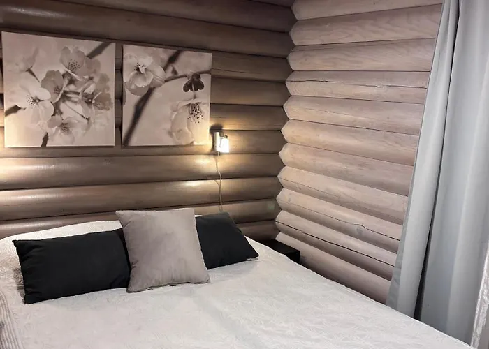 Latvahonka בקתה Jämsä